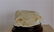 Antique Chinese Scholar White Jade Carved Water Pot - 2