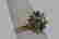 item-70969239=3