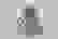 item-81467320=3