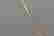 item-85071652=4