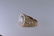 14Kt Men's Diamond ring - 4