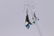Navajo Handmade Sterling Silver Turquoise Hook Earrings - 3