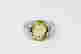 item-99881605=1