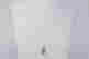 item-108916975=3