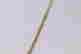 item-111800762=4