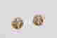item-129172649=4