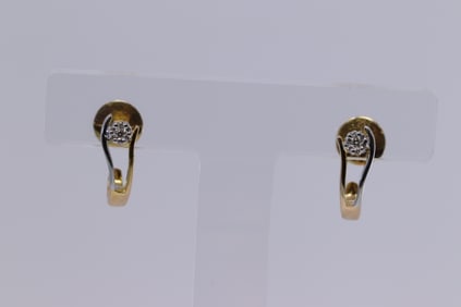 14Kt 2 Tone Diamond Earrings