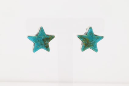 Native America Navajo Sterling Silver Kingman Turquoise Star Post Earring's By Donovan Skeets.