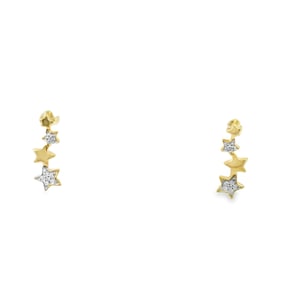 Diamond Star Earring 10Kt.