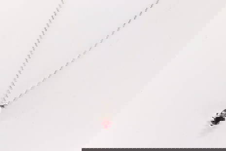 Ruby & Diamond Heart Pendant / Necklace 14Kt.: Ladies 14Kt White Gold Ruby & Diamond Pendant / Necklace. This pendant has herat shaped ruby with one smaller diamond and a 14k necklace. Necklace length: 16.00"