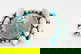 item-210570389=1