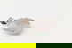 item-210989435=3