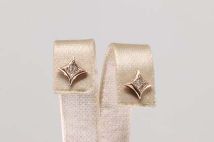Diamond Stud Earring 10kt.