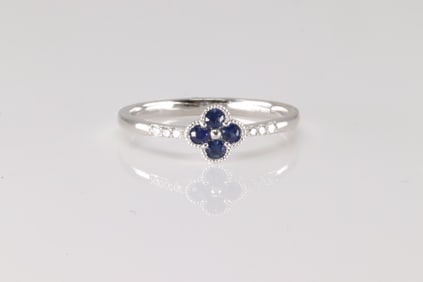 Sapphire & Diamond Ring 14Kt