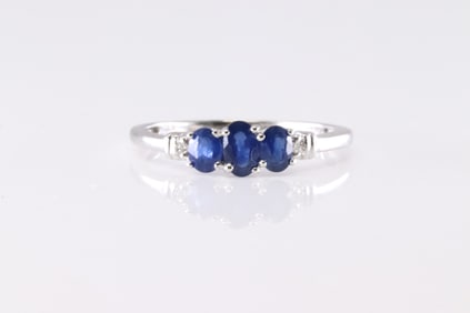 Sapphire & Diamond Ring 10Kt.