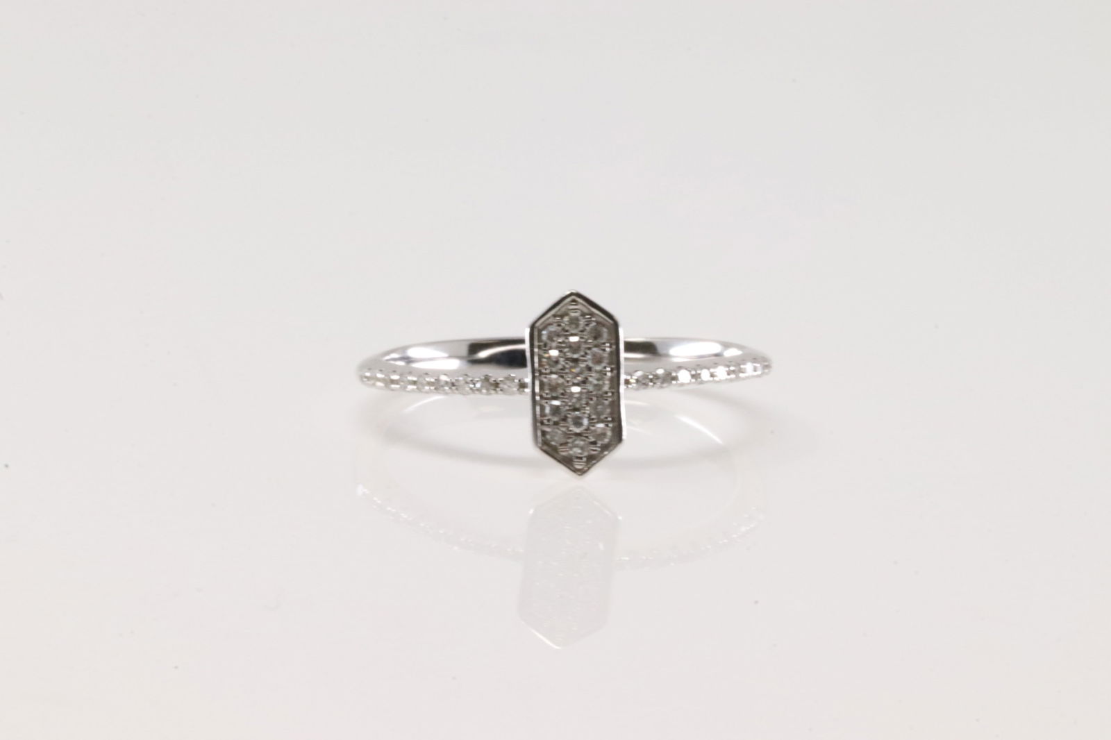 Diamond Ring 10Kt. (1 of 3)