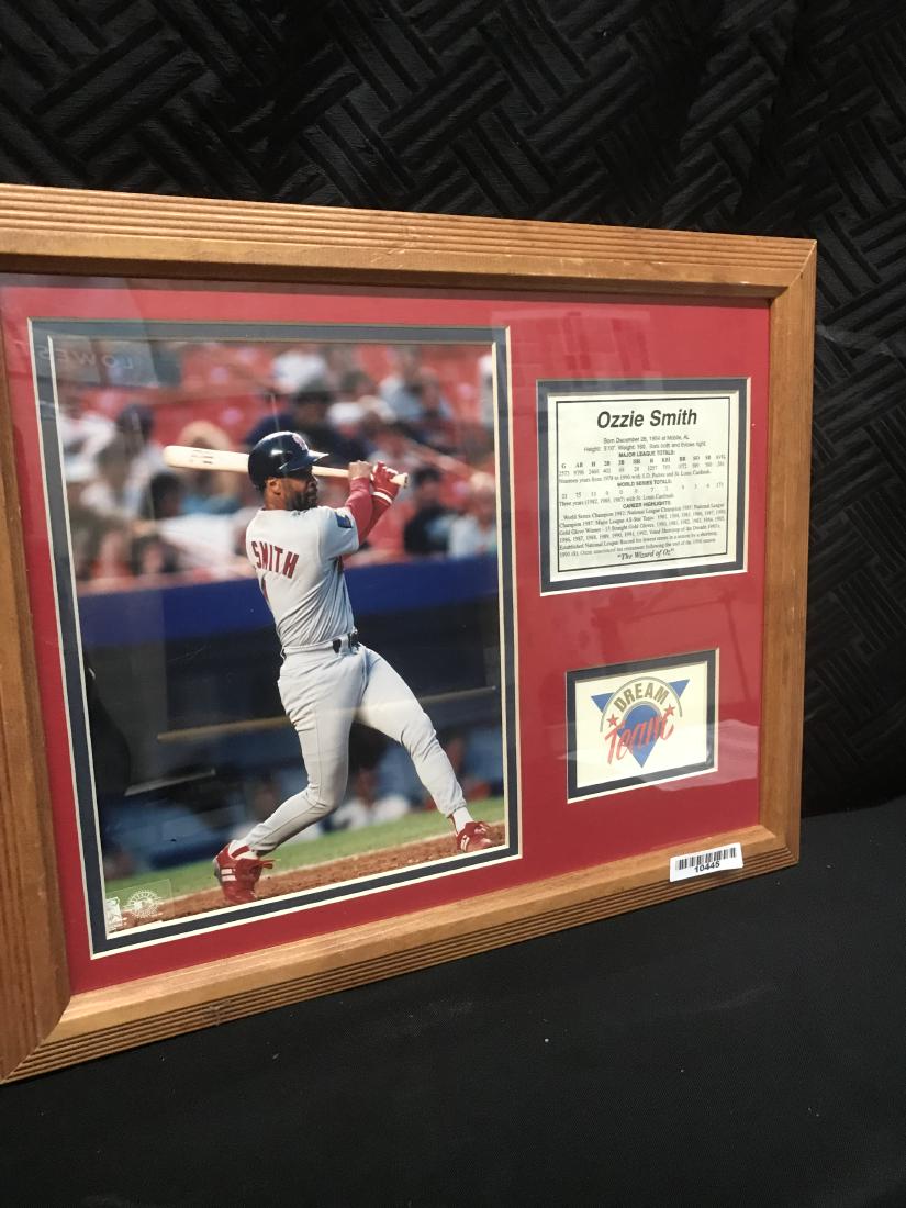 Ozzie Smith MLB Photo Stats and Dream Team: 13 x 16 MLB Dream Team Member Ozzie Smith with Photo, Statistics, and Dream Team