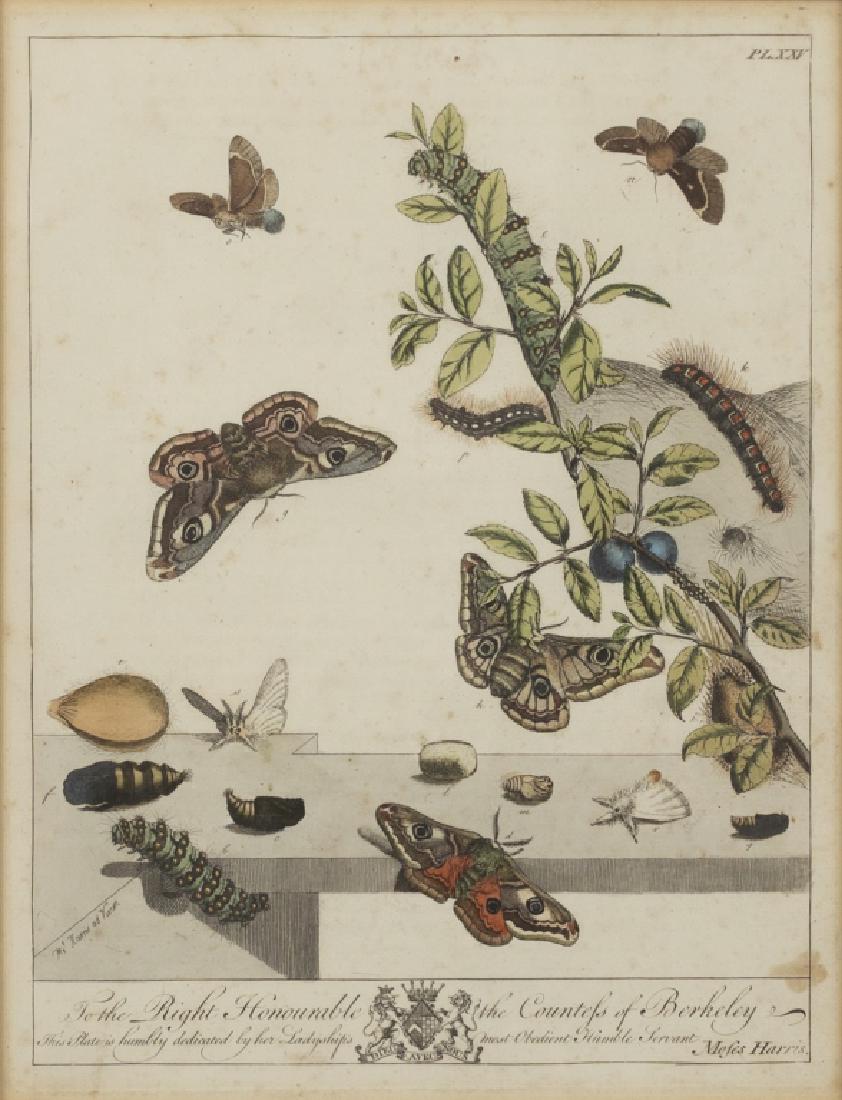 Moses Harris (British, 1730-1785) (1 of 8)