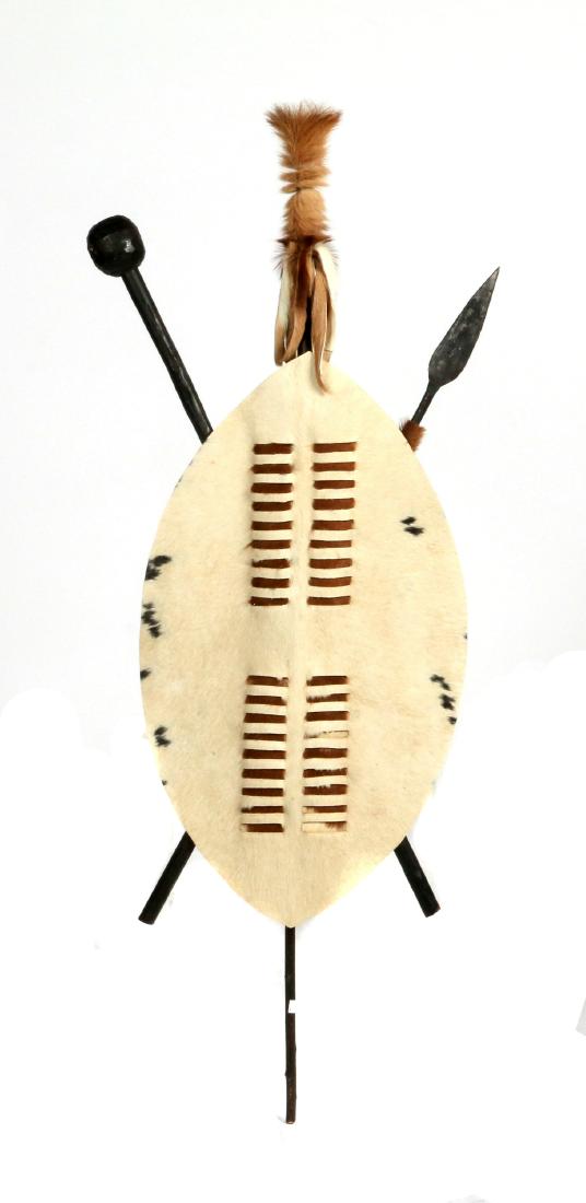 A Zulu Igqoka- ceremonial warrior shield (1 of 3)