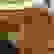 item-70133534=7