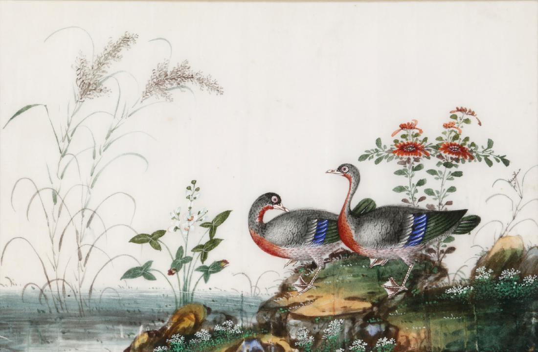 Five Chinese export bird paintings (1 of 8)