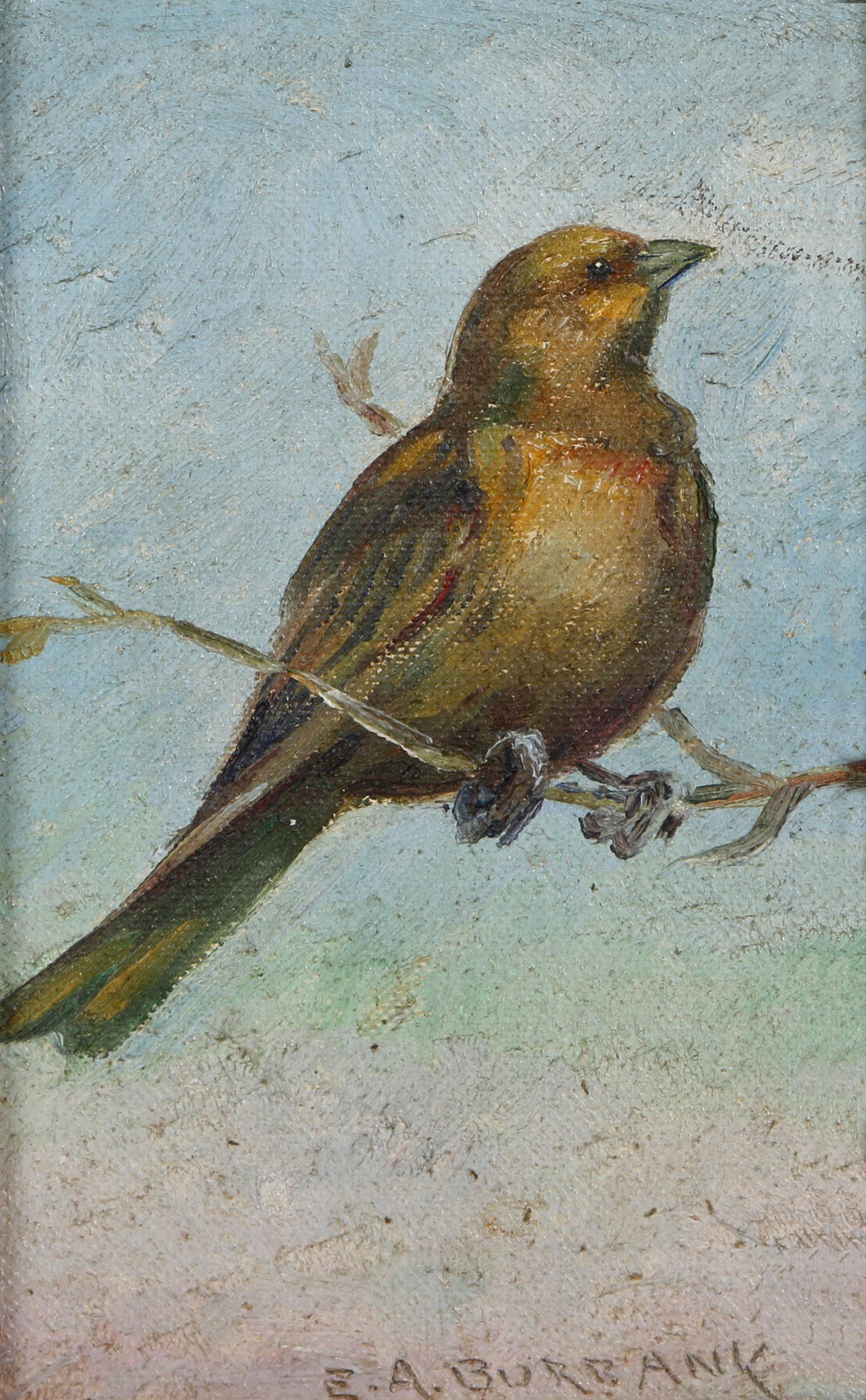 Elbridge Ayer Burbank, Cowbird: Elbridge Ayer Burbank (American, 1858-1949). Cowbird. Oil on canvas board. Signed 'E.A. Burbank.' lower right and titled on the reverse. Measures 6 in. high x 4 in. wide (with frame measures 11 in. hi