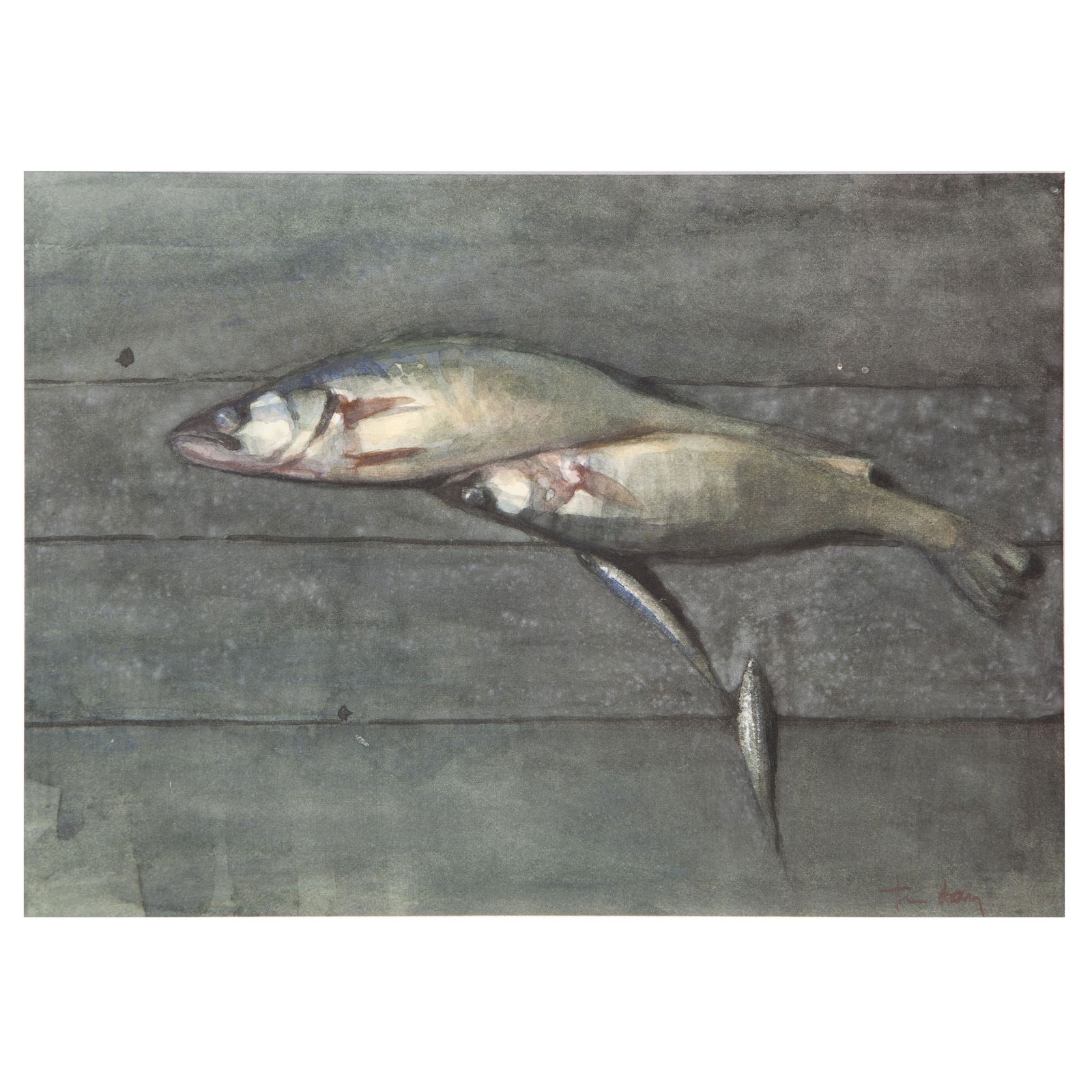 Thomas Daly, Still Life with Fish (1 of 6)