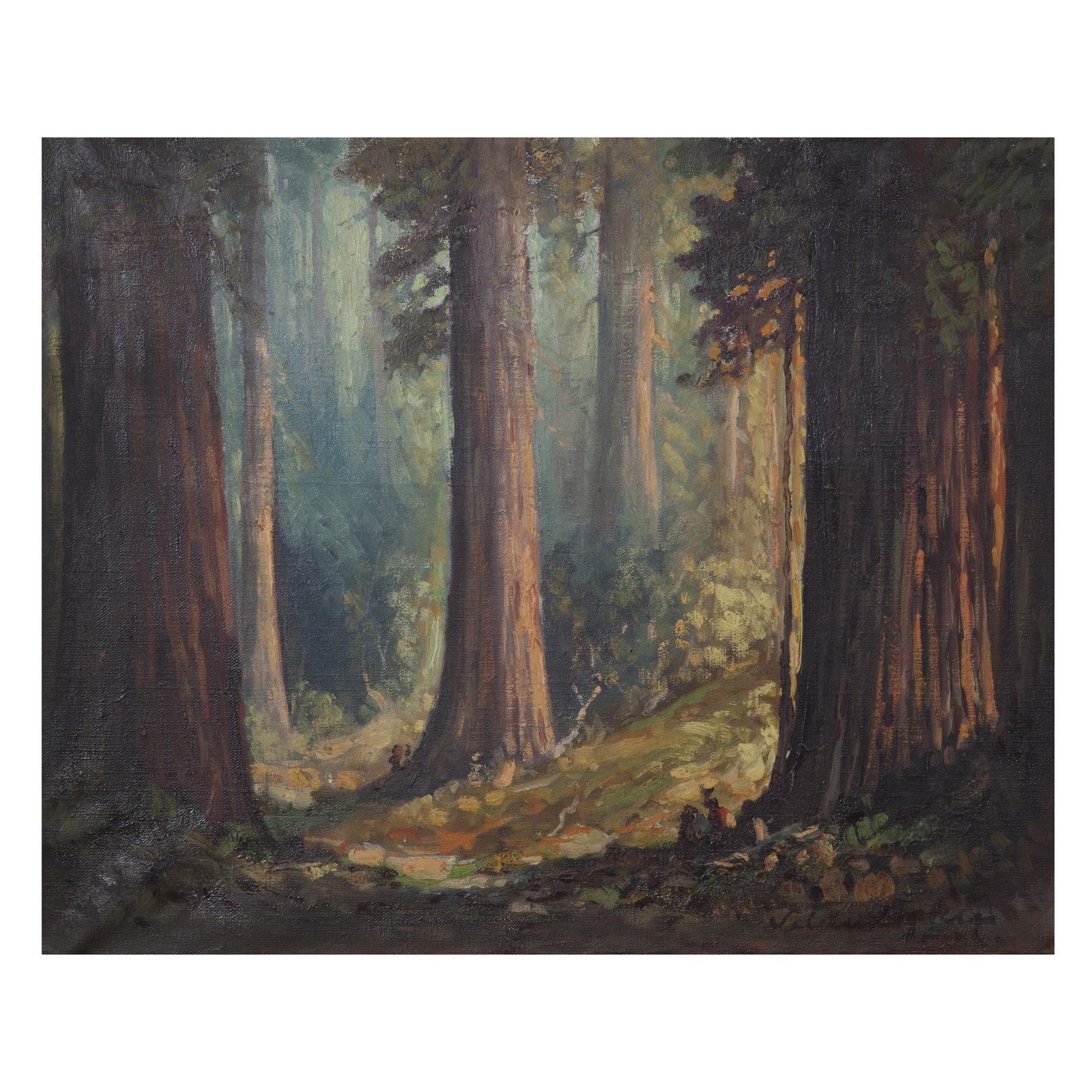 Tilden Daken, Redwood Forrest (1 of 6)