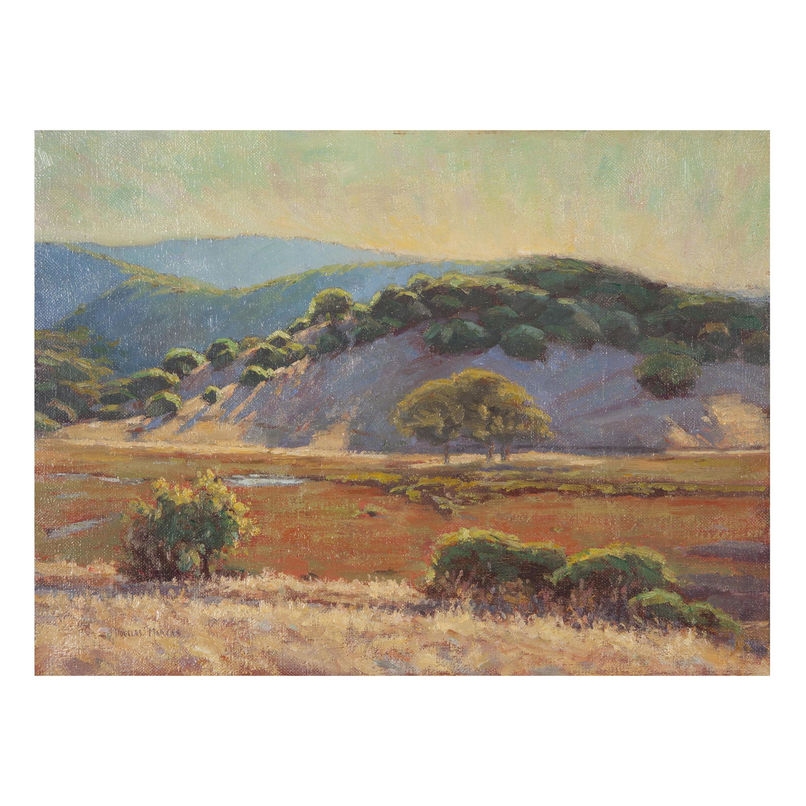 Douglas Paul Morgan, China Camp (1 of 6)