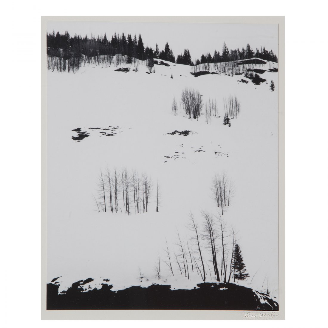 Don Worth, Aspen Trees and Snow, Colorado (1 of 4)
