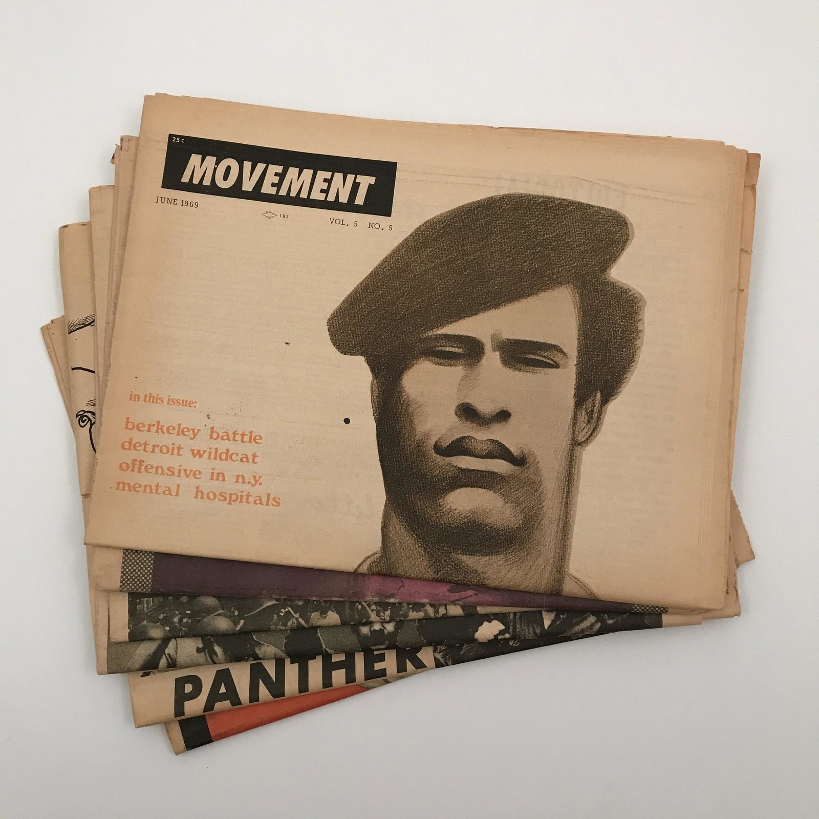 15 1960s Civil Rights The Movement and Black Panther: Group of 15 1968 and 1969 The Movement and The Black Panther newspapers. Includes 12 The Movement and 3 Black Panther examples. Nice Condition. Correction, there are 2 Black Panther and 13 The Movemen
