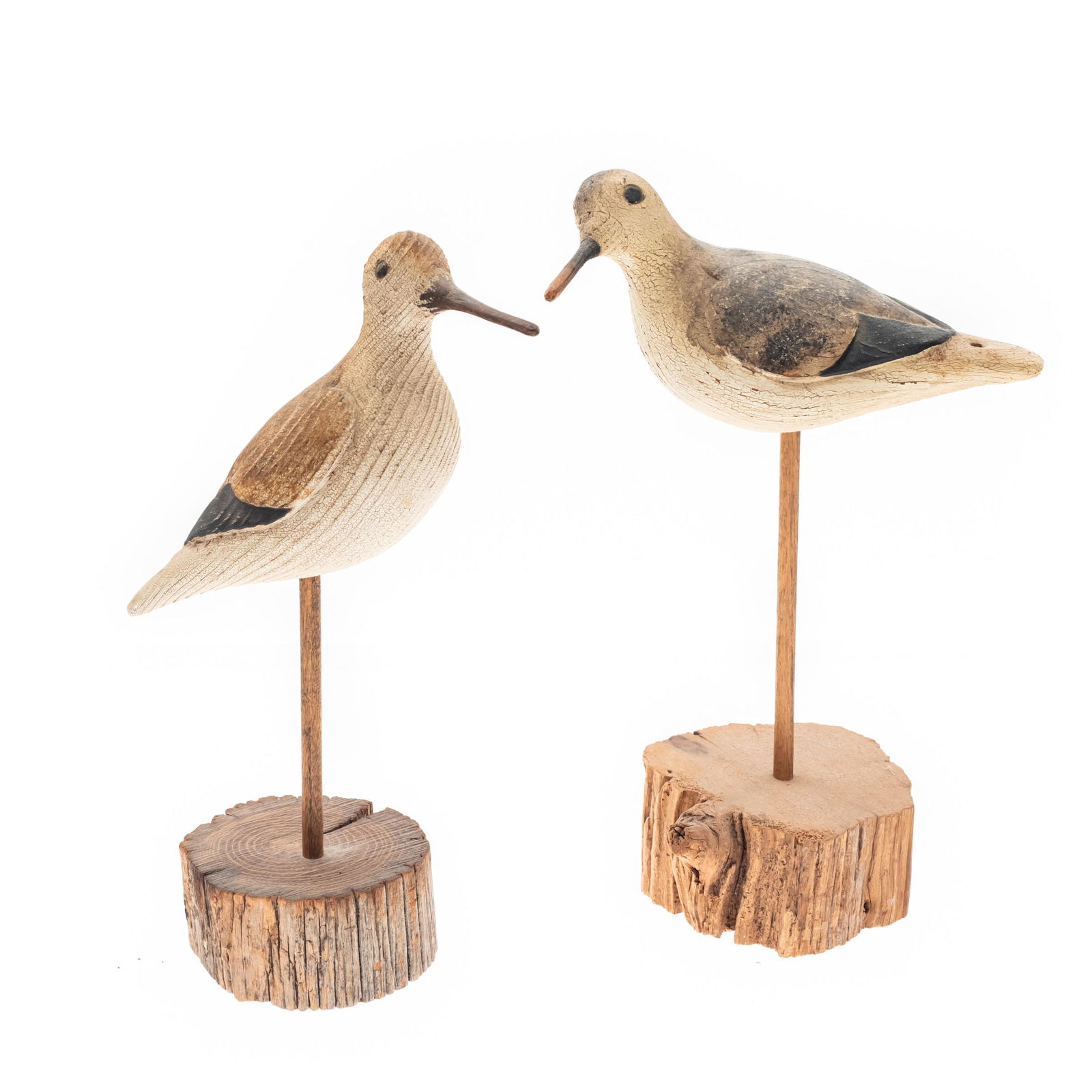 Contemporary Folk Art Carved Decoys, Thomas Langan: Depicting two Snowy Plovers12in. and 11in. heightCondition: very minor loss at beak edge. Drilled hole on tails.