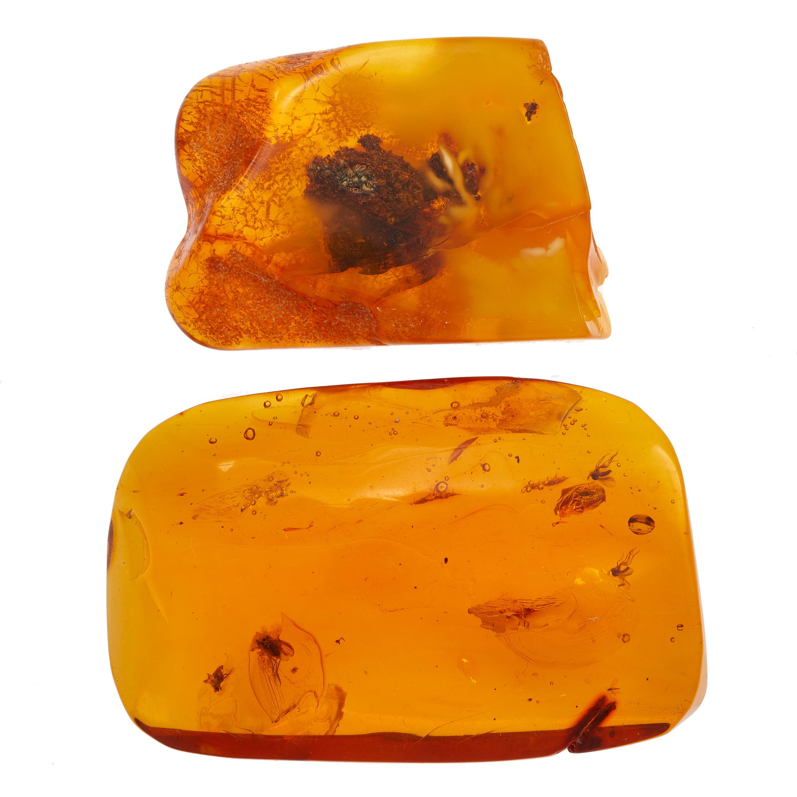 Two Baltic Amber Specimens with Insects (1 of 2)