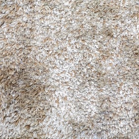 Mid-Century Shag Carpet