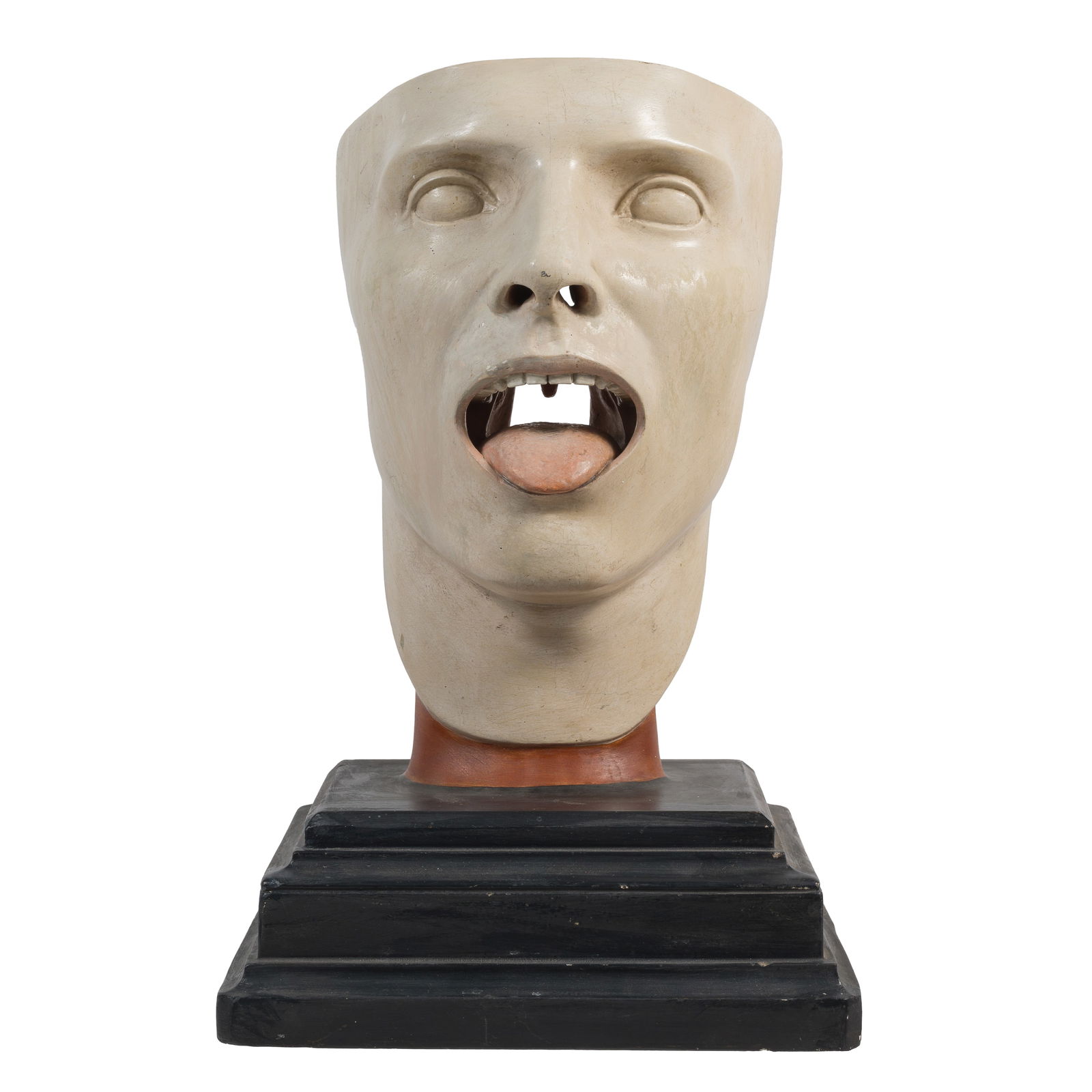 Josef Steger & Carl Bock, Anatomical Human Face Model (1 of 15)