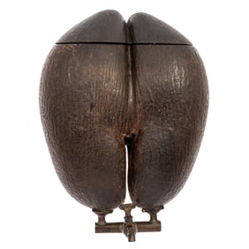 Seychelles Coco de Mer