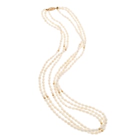Freshwater Pearl, 14k Yellow Gold Necklace