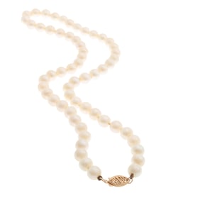 Cultured Pearl, 14k Yellow Gold Necklace