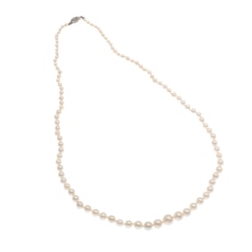 Cultured Pearl, 10k White Gold Necklace