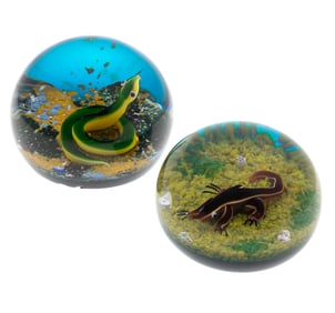 Baccarat Paperweights