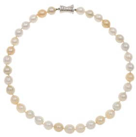 South Sea Cultured Pearl, 14k White Gold Necklace