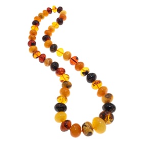 Graduated Amber Bead Necklace