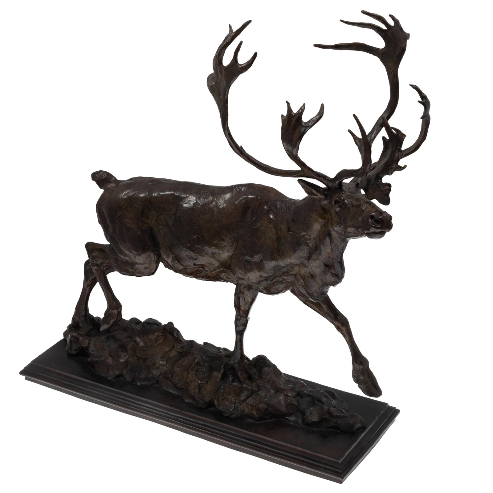 Tim Shinaberger (American b. 1966) Bronze: Tim Shinaberger (American b. 1966) Bronze Bronze figure of a Moose Depicted with a full display of antlers. Signed on base. 23in (58cm) h. 21in (53cm) l at base 7in (18cm) w. at base Tim Shinaberger's