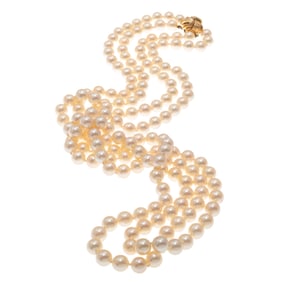 Double Strand Cultured Pearl, 14k Yellow Gold Necklace