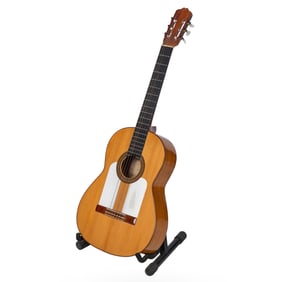 Guitar by Anselmo Solar Gonzalez, 1957