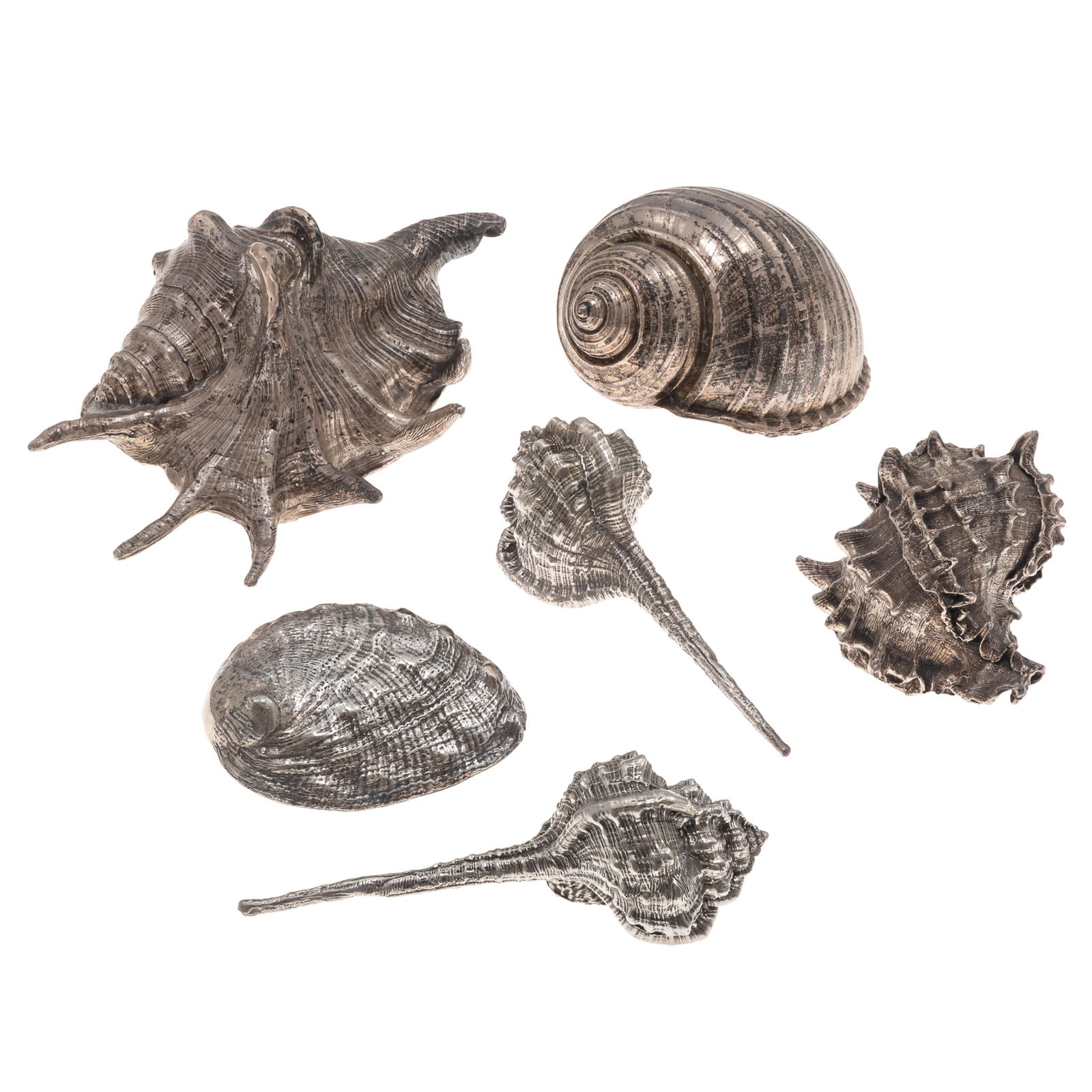 O'Meara Sterling Collection: O'Meara Sterling CollectionA collection of six sterling Sea Shells, including conch and abalone.Largest 6in. x 3in (15cm. x 7cm)1655.0 gramsAll marked O'Meara Sterling or .925