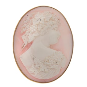Conch Shell Cameo, 14k Yellow Gold Pin