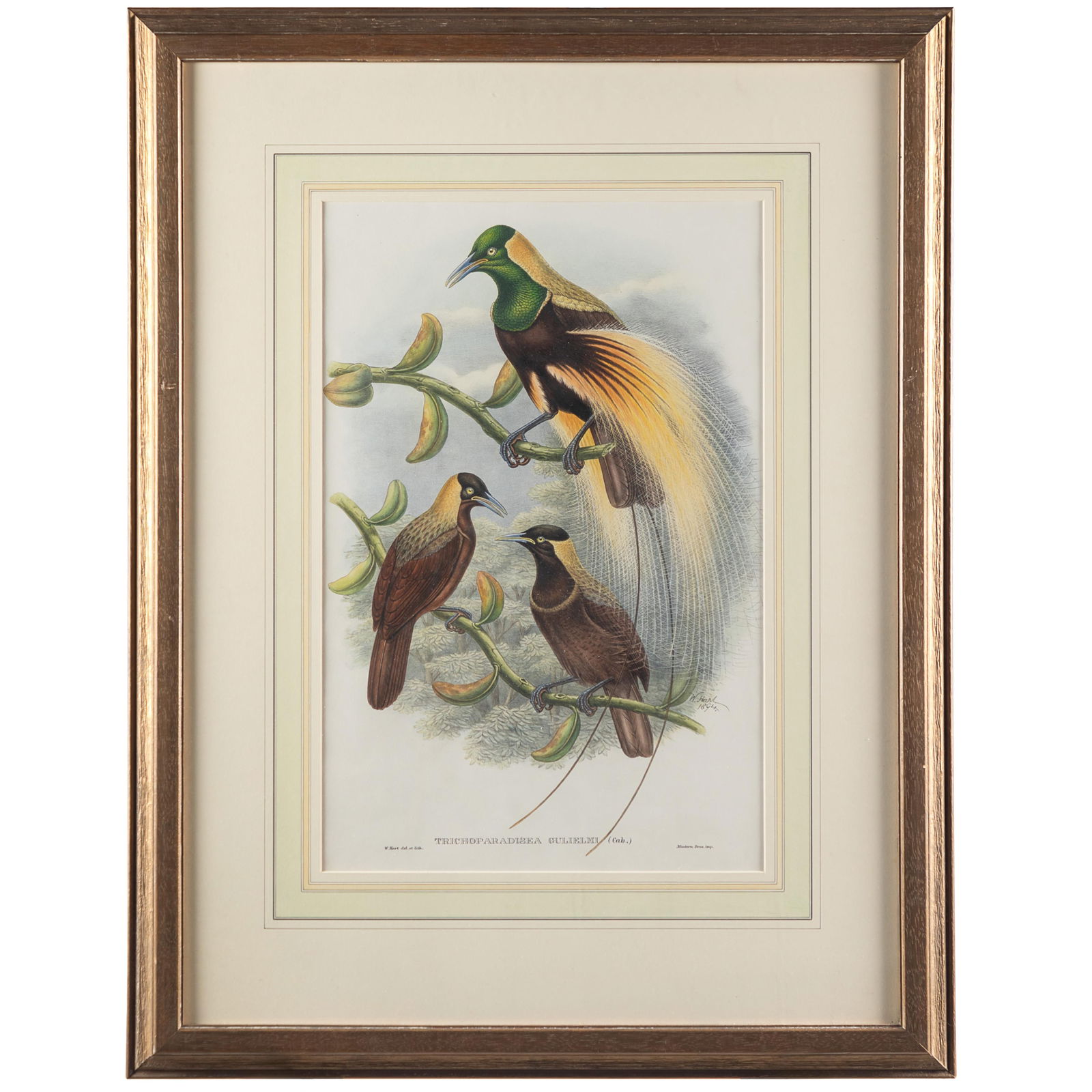 William Matthews Hart (Irish, 1830-1908). After a drawing by John Gould. (1 of 4)