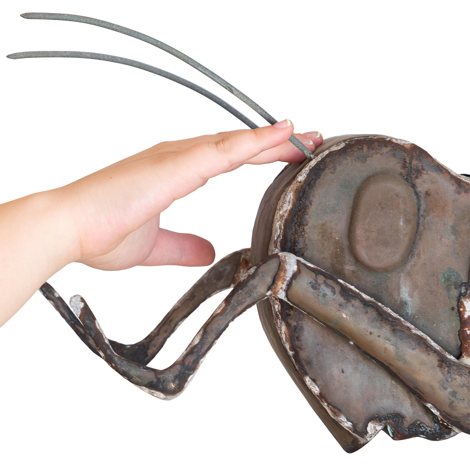 Grasshopper Weathervane - 8