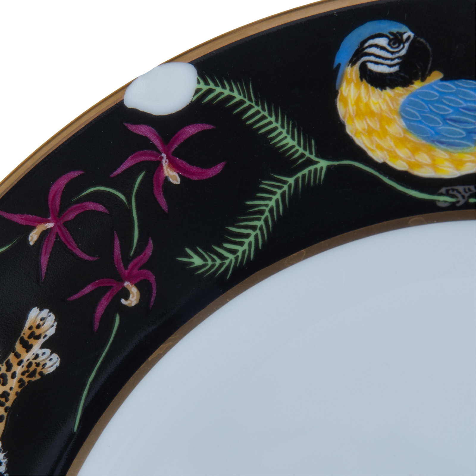 Lynn Chase Jaguar Jungle - 11